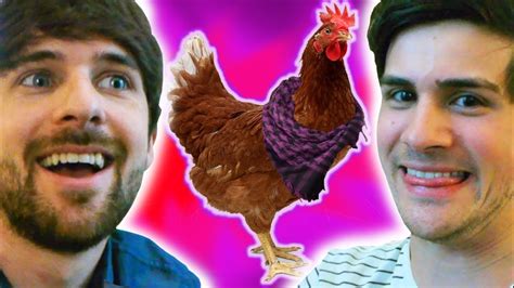 Gay chicken