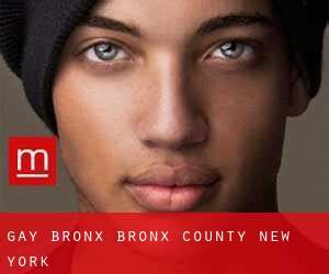 Gay guide to Bronx County