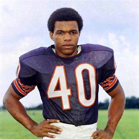 Gayle sayers number. With the second pick, San Francisco took a fullback from the University of North Carolina by the name of Ken Willard. Chicago followed that up with their two choices: Illinois linebacker Dick Butkus at number three, and then the running back the team needed, University of Kansas product Gale Sayers. 