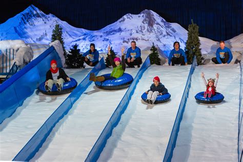 Hop on a tube and slide down real frozen ice lanes. Race family and 