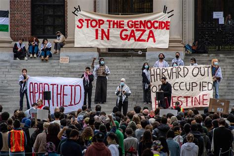 Gaza fallout: US university head quits in antisemitism row sparked by Israel-Hamas war 