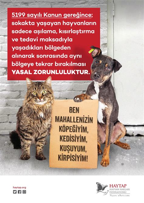 Gaziantep sokak hayvanları toplama numarası