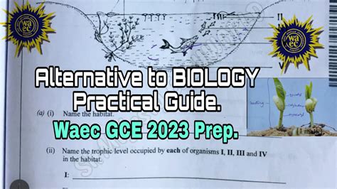 Gce alternative to practical biology manual. - Manual de anatom a del ejercicio spanish edition.