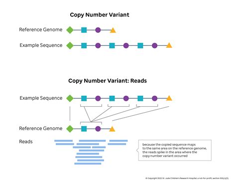 Gdc copy number variation.  &ldquo;In a time of great change, we can build ...
