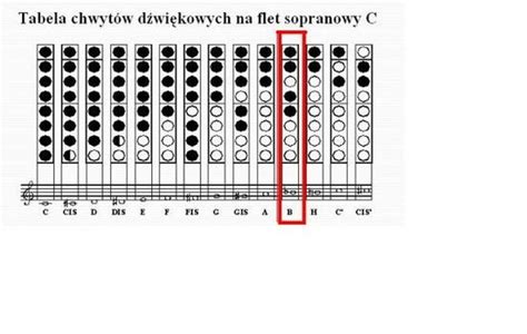 Gdzie jest A, b , c , d , g , f i e , na flecie prostym ? - Zapytaj ...