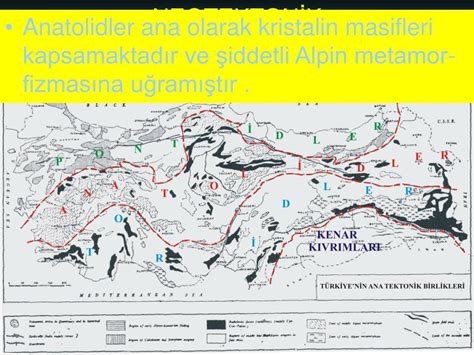 veodersti.rgarabwor.edu.pl. 