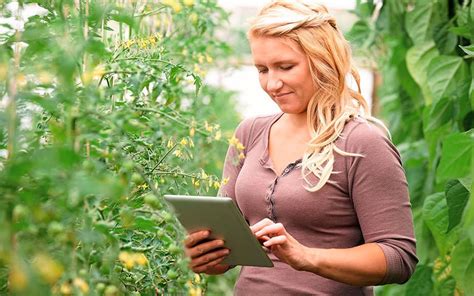 Geïntegreerde plaagbestrijding gaat mobiel met iPM-app