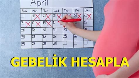 Gebelik Hesaplama 2022 hakkında detaylı bilgilendiriyoruz.