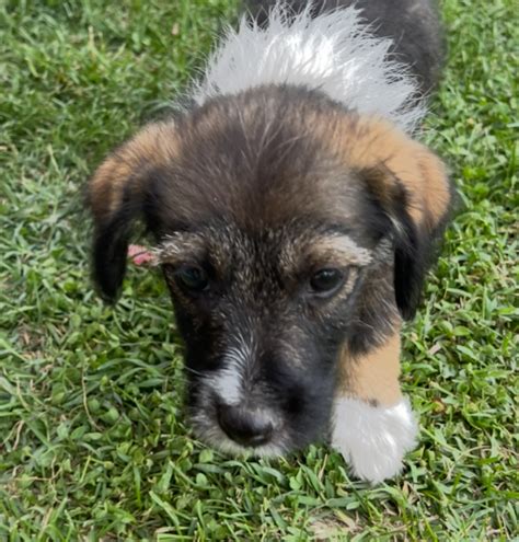 Gebes Halı ve Koltuk Yıkama