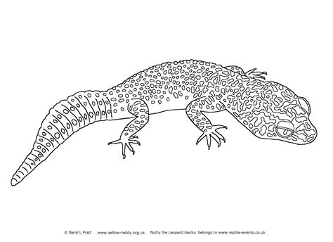 Gecko Printable