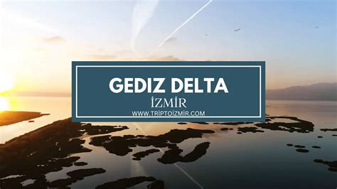 Gediz.