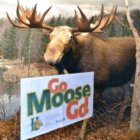 Geeky Moose Canada