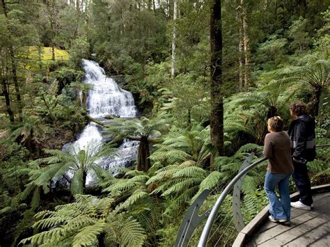 Geelong to Great Otway National Park - 4 ways to travel via