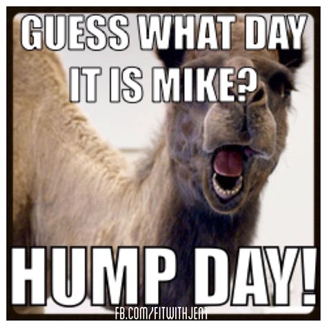 Geico hump day. Fun fact: in 2020, NASCAR a race on a Wednesday for the first time in a long-ass time. GEICO sponsored the #13 car and ran a Hump Day paint scheme that day. GEICO to Debut Hump Day Paint Scheme for Wednesday Race at Darlington (mrn.com) Also fun fact: That camel's name is Caleb. 