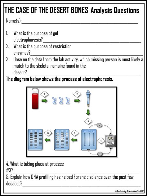 Go back to and click on the “Gel Electrophoresis” Virtual Lab. 2. Click “Forward” in the lower right corner of the interactive screen. 3. Read each yellow bar of information (located at the bottom of the interactive screen) and follow the instruction for each to progress through the interactive screens. After the introductory informational. 