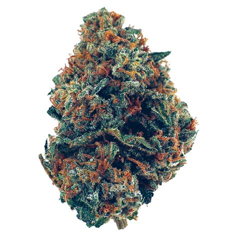 Gelato zkittlez strain leafly. Purple Z (sold under an infringing candy name by Ethos Genetics) is a cross of Purple Punch and The Original Z that offers a rich flavor alongside a potent ... 