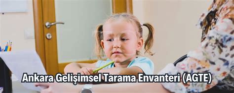 Gelişimsel & Sinaptik Plastisite: Aralarındaki Fark Nedir?. 