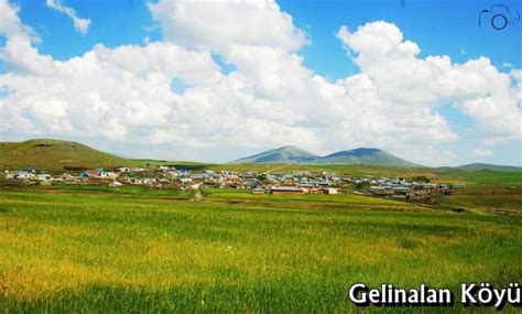 Gelinalan Halı ve Koltuk Yıkama