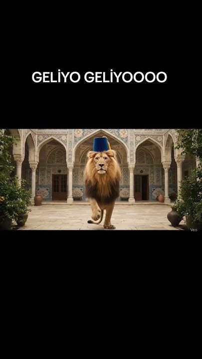 veodersti.rgarabwor.edu.pl. 