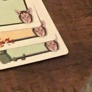 Geminiscamp Leaks XxX 🍆