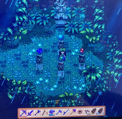Stardew Valley (Nintendo Switch) I know the gem birds appear in one of four spots on ginger island when it is raining, but is it possible to see one location reset the day and come back with it in a different spot?. 
