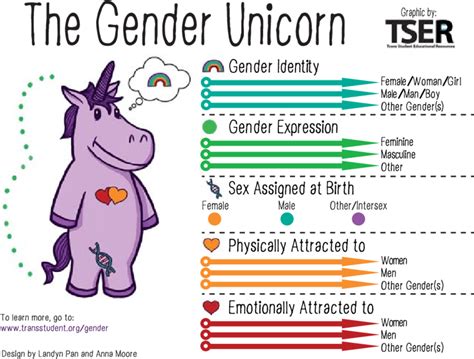 Gender unicorn. Gender is not as simple as male or female, and sexuality is not as simple as gay or straight. It’s helpful to think of gender and sexuality outside of the western gender binary. This graphic called the Gender Unicorn, from Trans Student Educational Resources, can help visualize the different ways people may identify. Each arrow on the graphic ... 