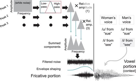 Gender-Related Phonetic Variation of