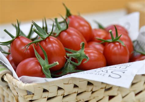 Gene Edited Tomato Next Phase:... - Sanatech Seed Co.,Ltd.