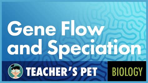 Gene Flow and Speciation - YouTube