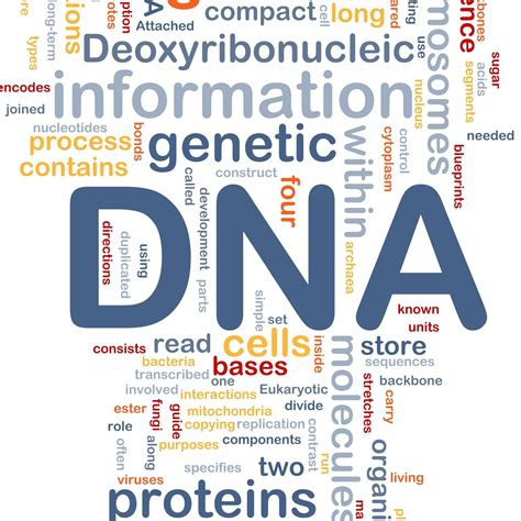 Blessedforservice.org By registering and subscribing to the Gene Decode - Deep Dives, you have read, acknowledge and agree to: Blessed for Service - Gene Decode Website Terms and Conditions contained here TERMS & CONDITIONS .. 