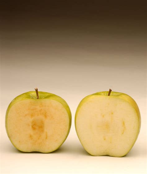 Gene-Altered Apples Get U.S. Approval - The New …