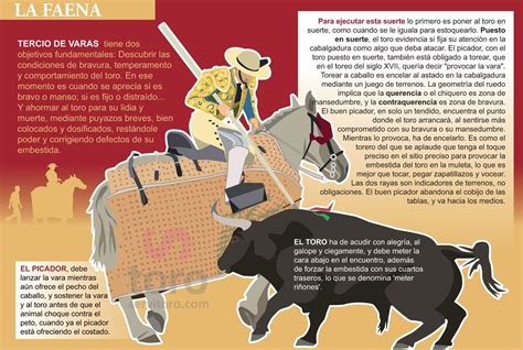 Genealogía sucinta del toro de lidia (ii tercio). - Manuel de programmation du système d'immobilisation du pilote honda 2015.