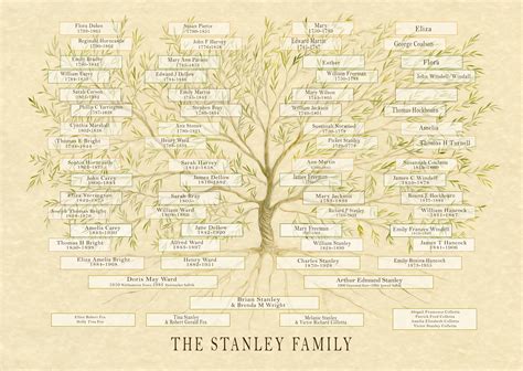 Genealogy Report (Custom)