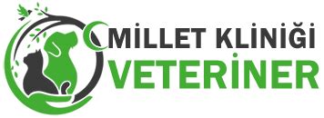 Genel Cerrahi Hizmetlerimiz Millet Veteriner Kliniği Bursa.