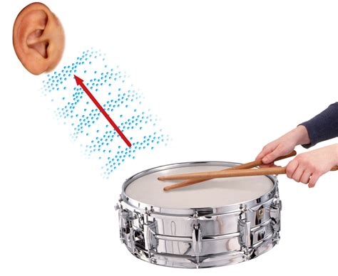 Sound is caused by vibrations in the air, which are created when objects, such as strings on a guitar, are plucked. These vibrations create sound waves that travel through the air and can be heard by the human ear. The vibrations of the strings also cause the guitar body to vibrate, which amplifies the sound.. 