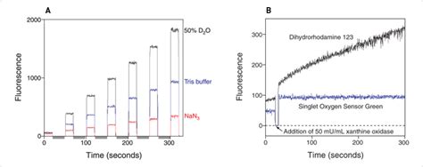 Generating and Detecting Reactive Oxygen …