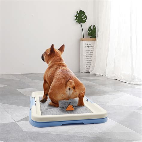 Generic Dog Potty Toilet Training Tray Indoor Outdoor Bedpan …