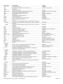 Generic Stem Stem Definition Examples - Survive Nursing