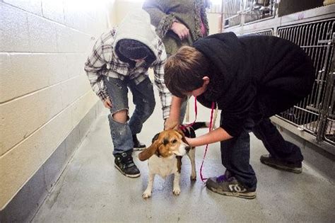 Genesee county animal shelter. Things To Know About Genesee county animal shelter. 