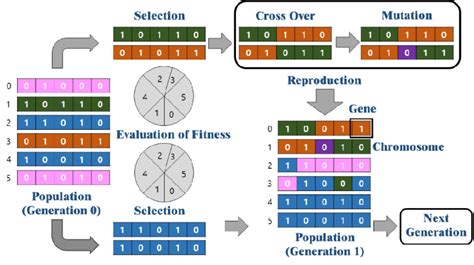 roulette wheel selection in genetic algorithm