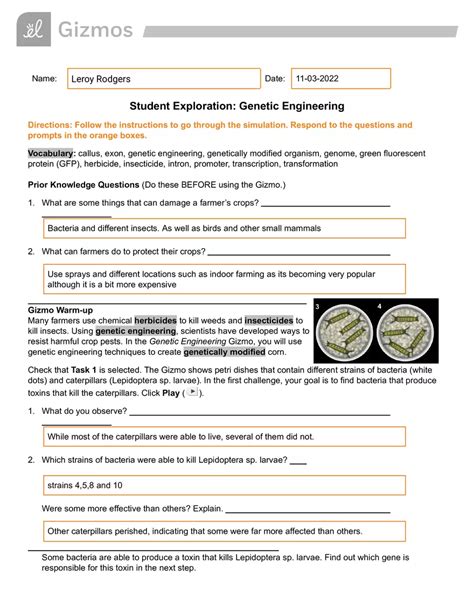 Genetic Engineering Section Review Answer Key