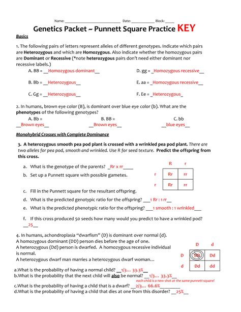 Genetic Problems Packet And Answers