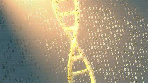 Genetic algorithm animation.  Dec 1, 2014 · The emergence of evolving searc...