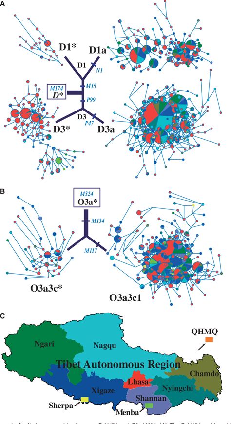 Genetic evidence of paleolithic colonization and neolithic