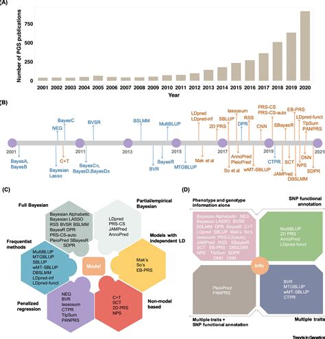 Genetic prediction of complex traits with polygenic scores