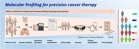 Genetic profiling and precision medicine – the future of cancer ...