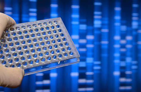 Genetic testing vs. carrier testing vs. karyotype testing Legacy