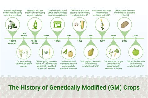 Genetically modified plants.  Learn about the history, regulation, techniq...