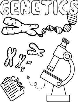 Genetics Coloring