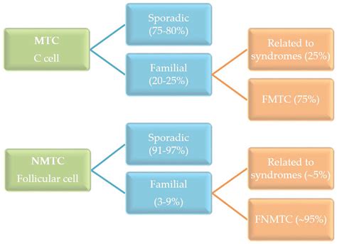 Genetics of medullary thyroid cancer: An overview - PubMed